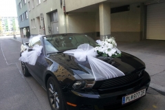 IMG-20150510-WA0003